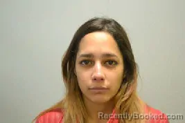 Mugshot of LEEMARY DAVILA ROSADO booked in Lee County, North Carolina on April 9, 2026