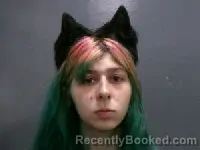 Mugshot of CATHERINE ANN AGNEW-THOMAS booked in Lee County, North Carolina on April 9, 2026