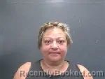 Mugshot of TAMMY ANN BOGGS booked in Lee County, North Carolina on July 4, 2026