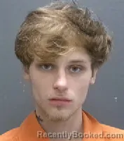 Mugshot of TYLER COLE MCDONALD