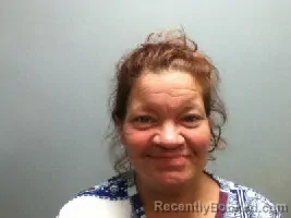 Mugshot of JENNIE LORAINE SAUNDERS booked in Lee County, North Carolina on June 15, 2026