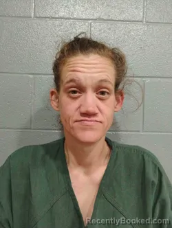 Mugshot of HEATHER GILLOCK