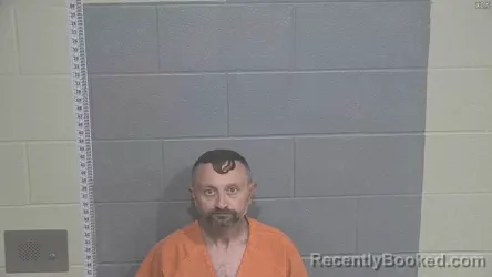 Mugshot of DAVID WOOD