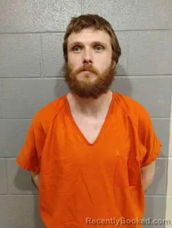 Mugshot of ETHAN LEE