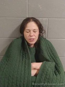 Mugshot of MEGAN THOMAS