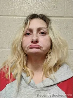 Mugshot of LINDA ANDERSON