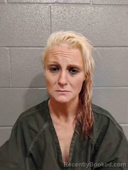 Mugshot of JANNA HARVEY