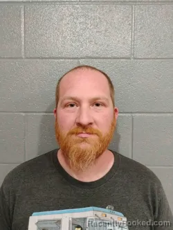 Mugshot of WILLIAM JOHNSON JR