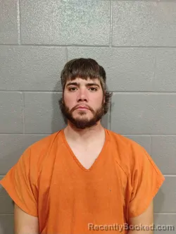 Mugshot of WILLIAM MCGILL