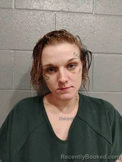 Mugshot of KIMBERLY HOLBROOK