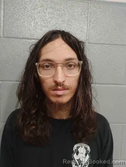 Mugshot of WESLEY HOLBEIN