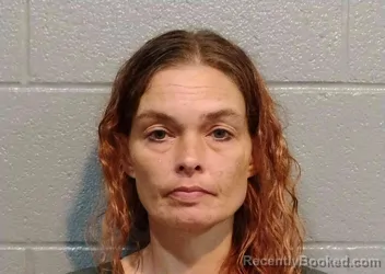 Mugshot of TEISHA FIELDS booked in Barren County, Kentucky on June 3, 2026