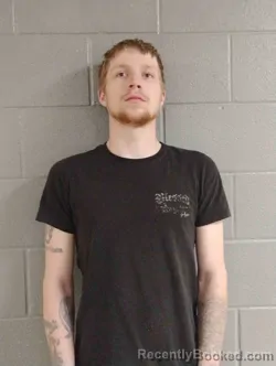 Mugshot of DRAKE LYONS