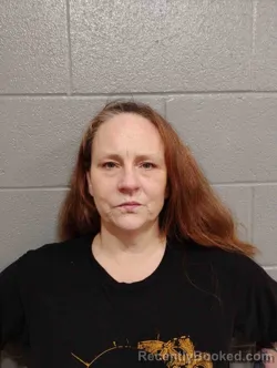 Mugshot of WENDY HAWKINS