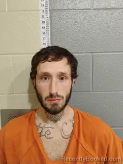 Mugshot of BRET HIGGS