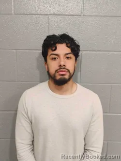 Mugshot of ELIAS BANEGAS