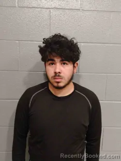 Mugshot of EDERSON RAMON CASTELLANO