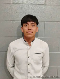 Mugshot of LUIS PEREZ