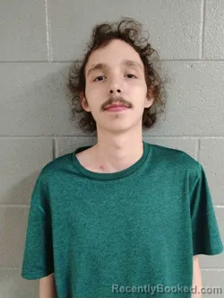 Mugshot of ASHTON DENNIS