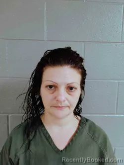 Mugshot of AMBER FULKERSON
