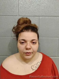 Mugshot of LEOTA CLEM