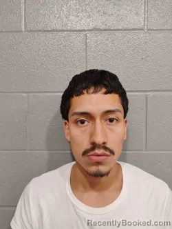 Mugshot of DAVID RAMIREZ