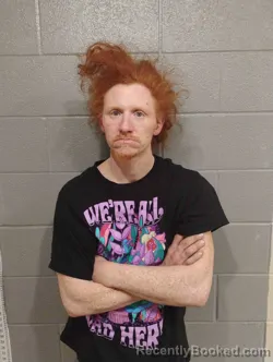 Mugshot of BILLY GOODLETT