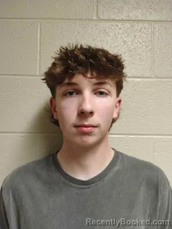 Mugshot of ALAN REID