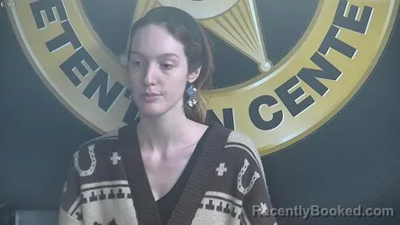 Mugshot of ASHLEY GILLIAM