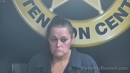 Mugshot of BRANDI BAIRD