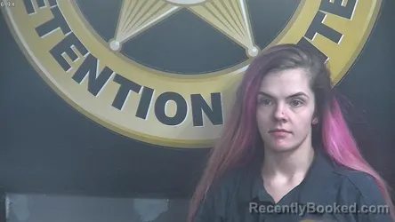 Mugshot of BRANDI JO WILLIAMS