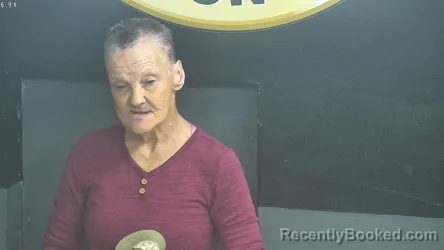 Mugshot of LISA R BARNETT