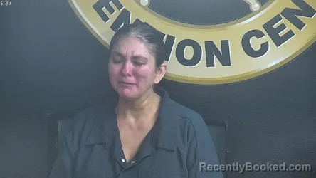 Mugshot of TAMMY HERNANDEZ