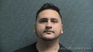 Mugshot of LUIS REYNALDO PEREZ PORRAS