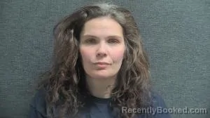 Mugshot of BREANNE ALISA FANNON