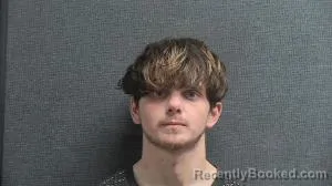 Mugshot of BRADLEY JORDON LIVESAY