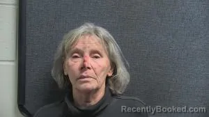 Mugshot of SHAUNA BURNS