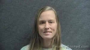 Mugshot of MEGAN AMBER DAWN WILSON