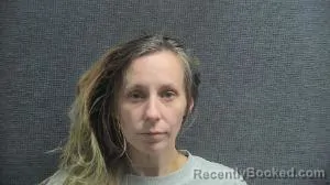 Mugshot of GLENDA PEGGY RENEE WILSON