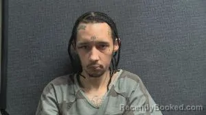 Mugshot of DMITIRI ANDRE GENEREUX