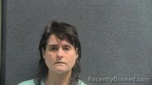 Mugshot of AMANDA RUTH FULMER