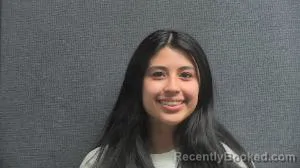 Mugshot of GITSELL Y RAMIREZ booked in Boone County, Kentucky on March 16, 2026