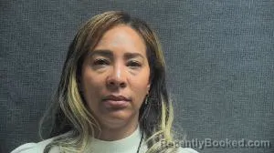 Mugshot of ASHLEY HARRISON ALSTON booked in Boone County, Kentucky on April 27, 2026