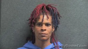 Mugshot of Jana S Alexander