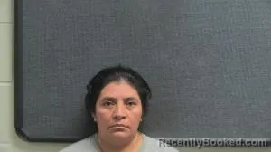 Mugshot of PAULA GUTIERREZ SIMAJ booked in Boone County, Kentucky on May 19, 2026