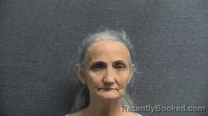 Mugshot of TINA B ELLIS booked in Boone County, Kentucky on June 4, 2026