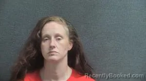 Mugshot of ASHLEY MICHELLE DAVID booked in Boone County, Kentucky on June 10, 2026