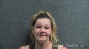 Mugshot of DANIELLE L CROWELL booked in Boone County, Kentucky on June 13, 2026