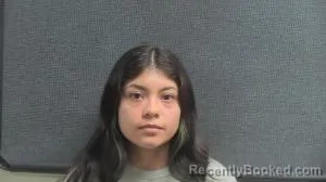 Mugshot of MICHELLE PIMENTEL-MARTINEZ booked in Boone County, Kentucky on June 16, 2026