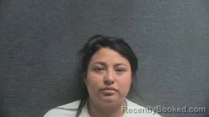 Mugshot of AMELIA ROEMERY PEREZ PEREZ booked in Boone County, Kentucky on June 18, 2026